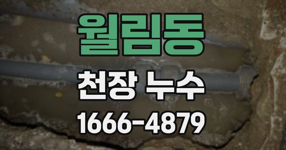 월림동 천장 누수