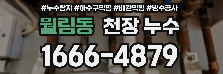 월림동 천장 누수