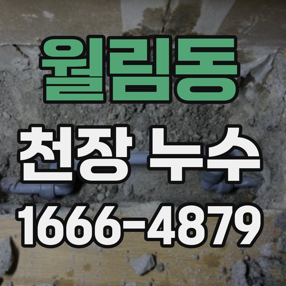 월림동 천장 누수