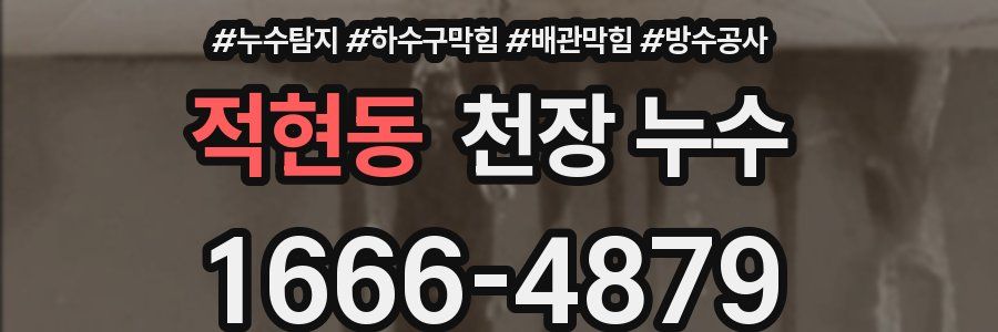적현동 천장 누수