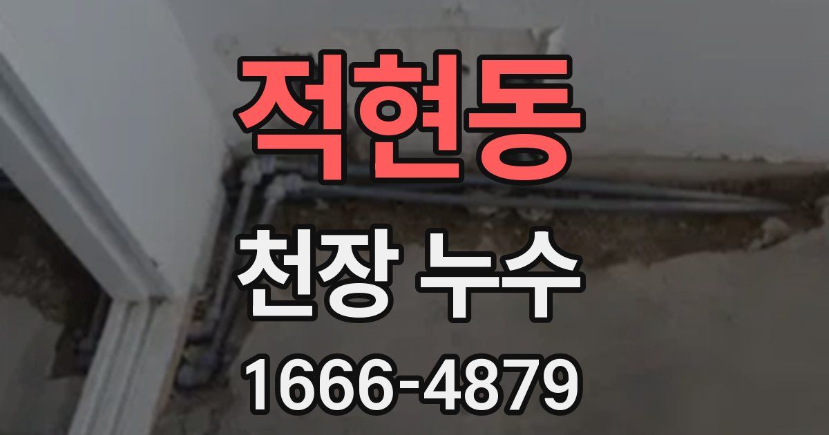 적현동 천장 누수