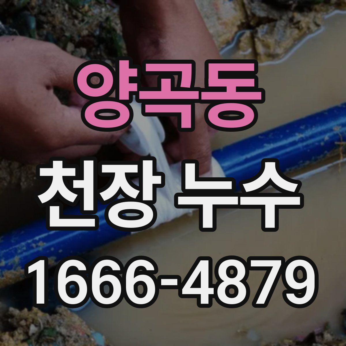 양곡동 천장 누수