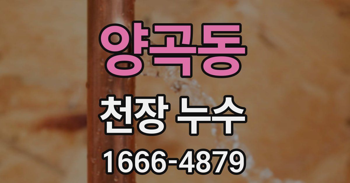 양곡동 천장 누수