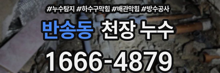 반송동 천장 누수