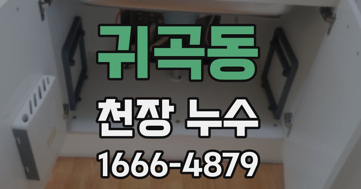 귀곡동 천장 누수