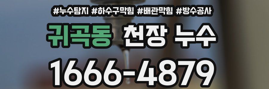 귀곡동 천장 누수