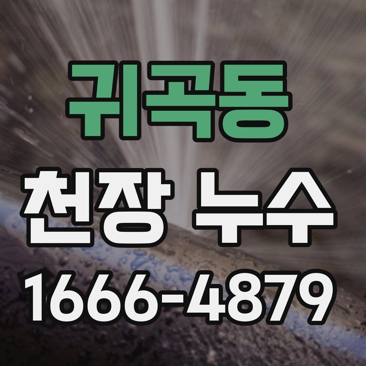 귀곡동 천장 누수