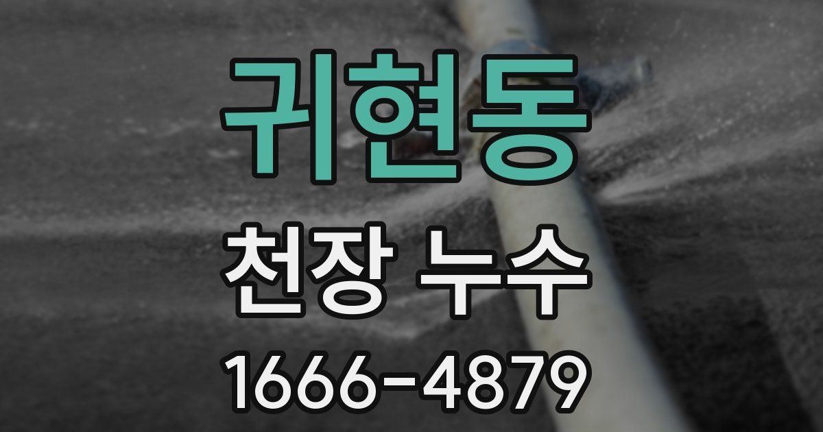 귀현동 천장 누수