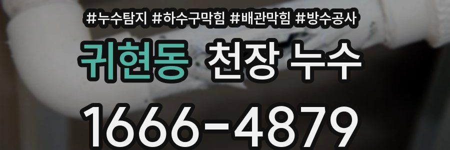 귀현동 천장 누수