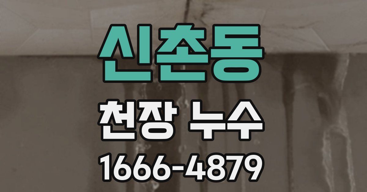 신촌동 천장 누수