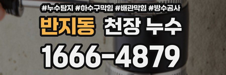 반지동 천장 누수