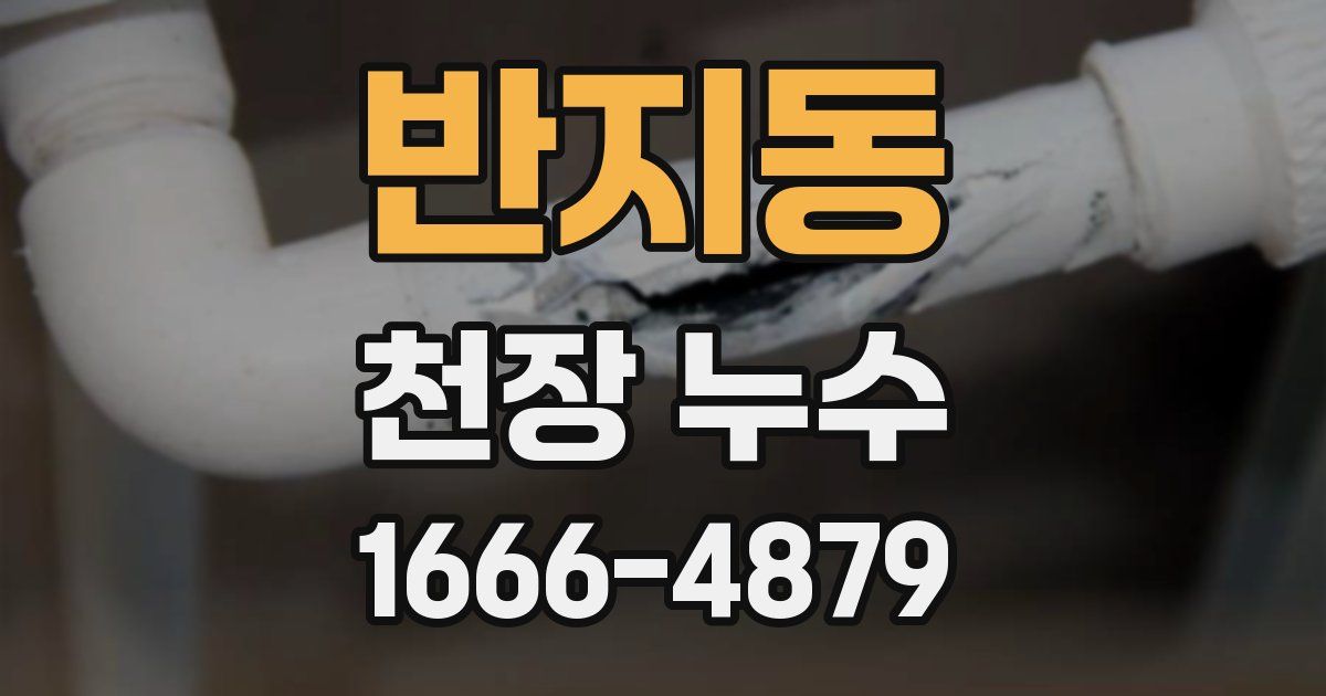 반지동 천장 누수