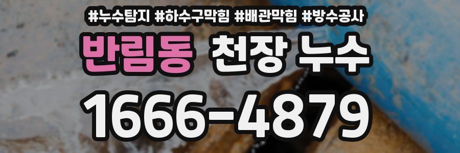 반림동 천장 누수