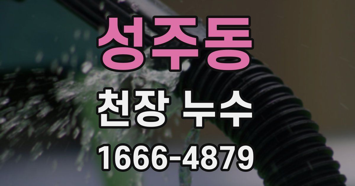 성주동 천장 누수