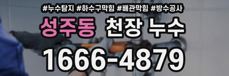 성주동 천장 누수