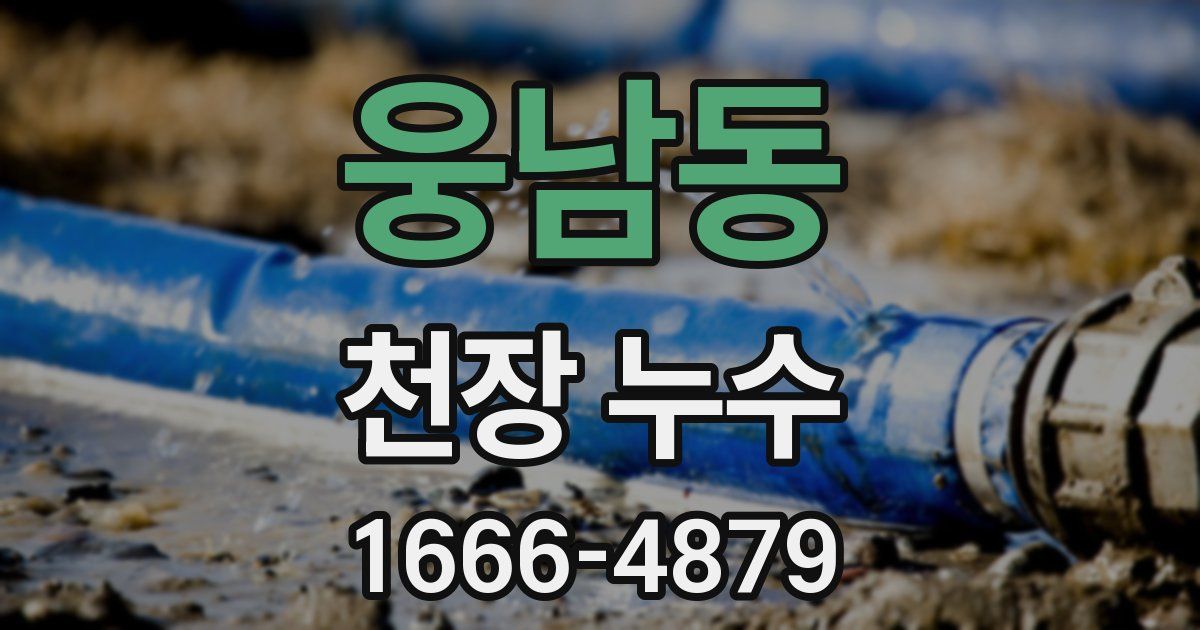 웅남동 천장 누수