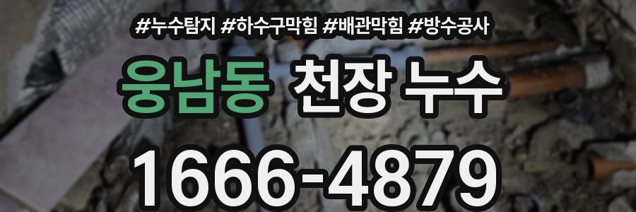 웅남동 천장 누수