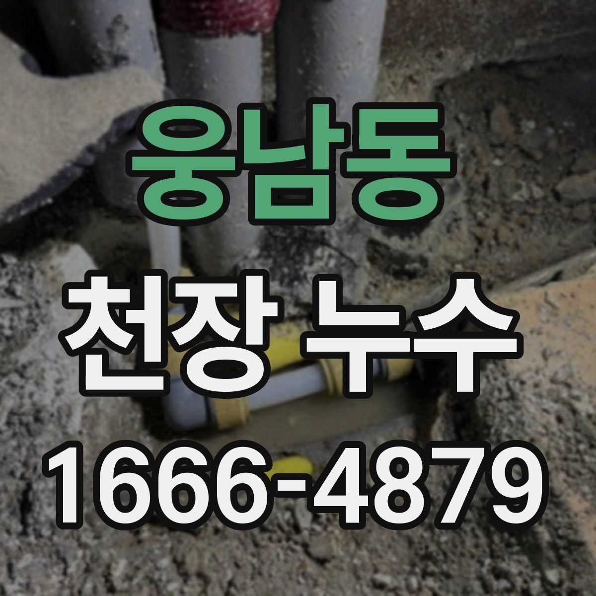 웅남동 천장 누수