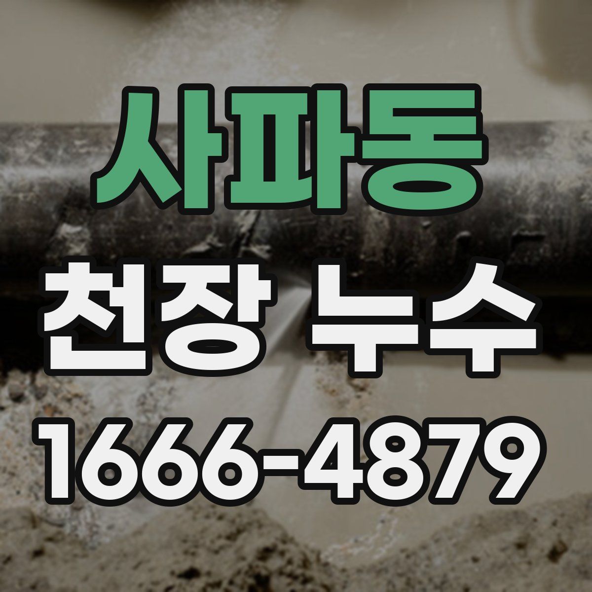 사파동 천장 누수