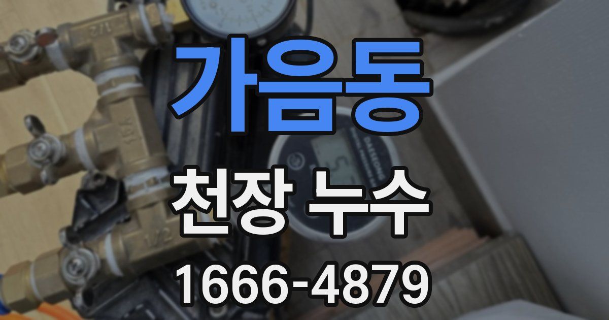 가음동 천장 누수