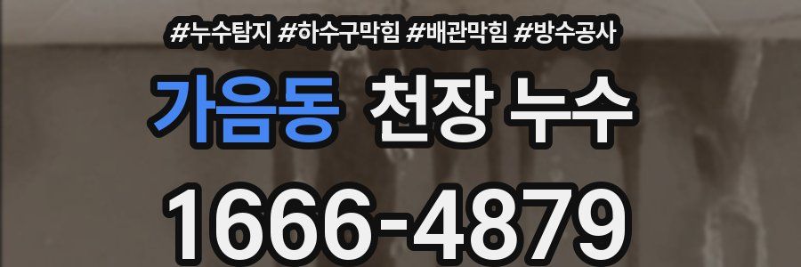 가음동 천장 누수