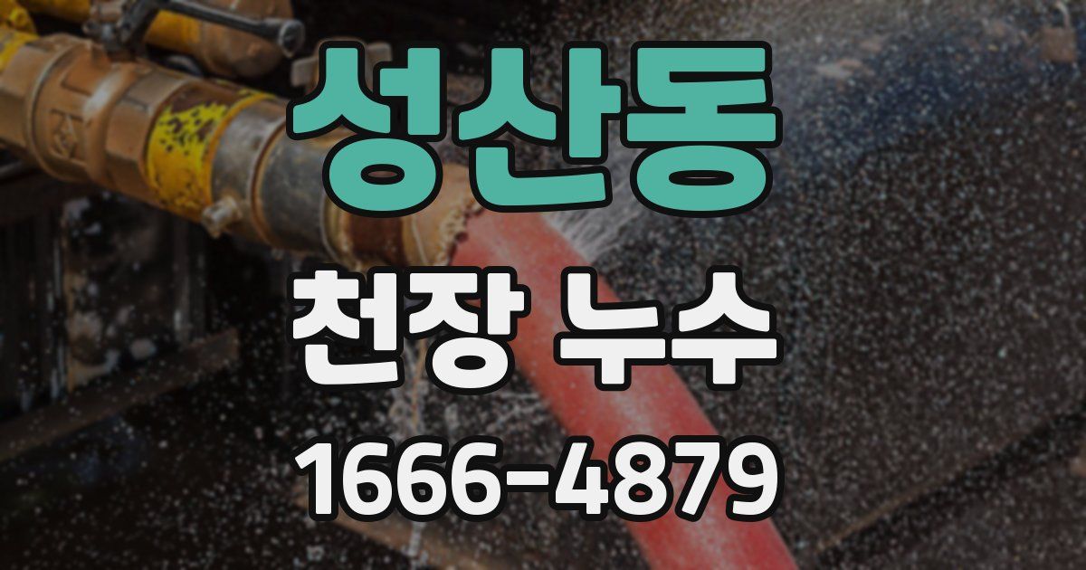 성산동 천장 누수