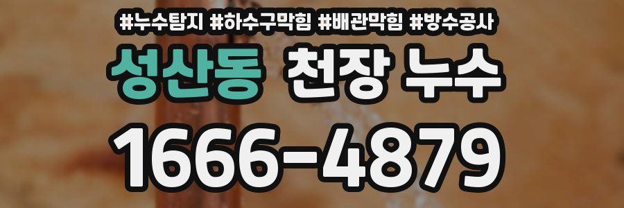 성산동 천장 누수