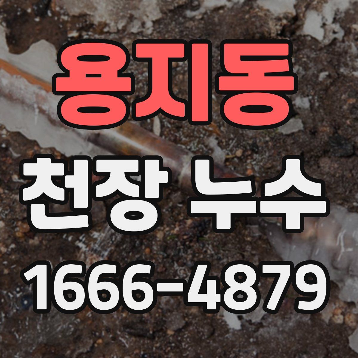 용지동 천장 누수