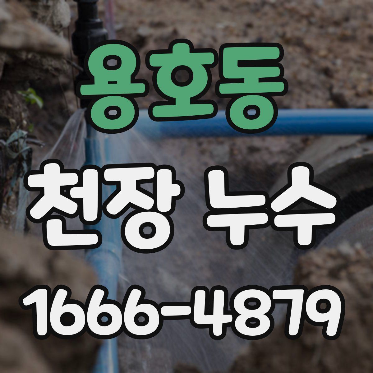 용호동 천장 누수