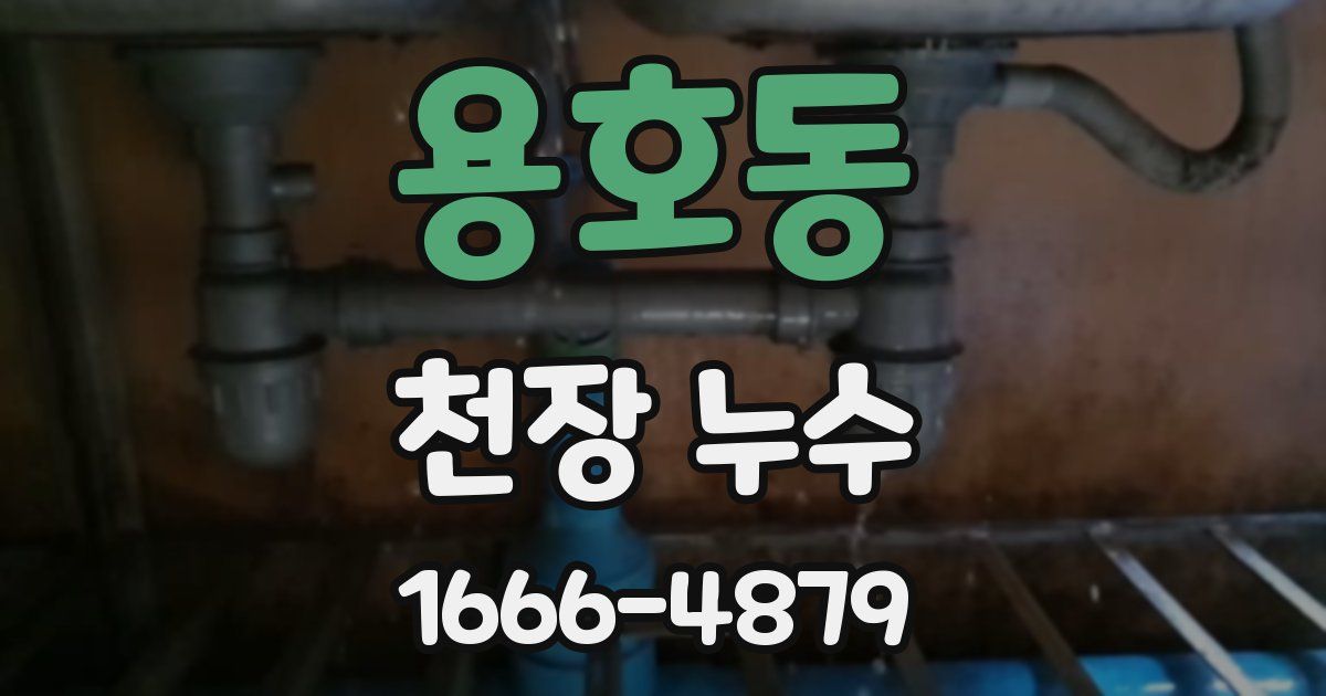 용호동 천장 누수