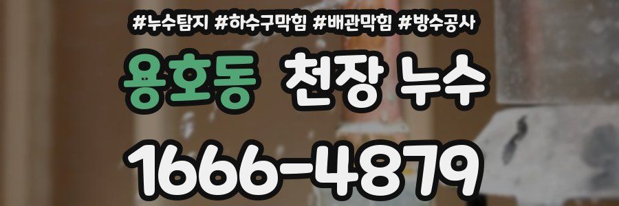 용호동 천장 누수