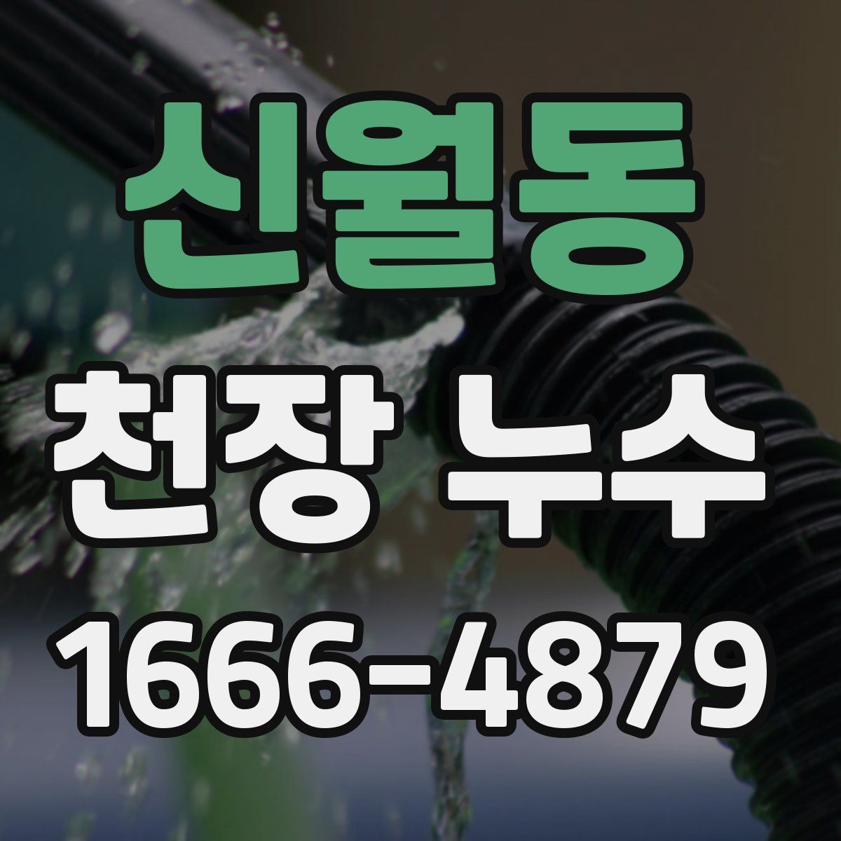 신월동 천장 누수