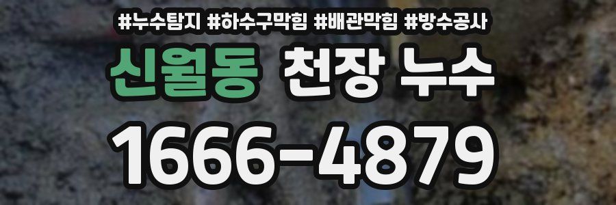 신월동 천장 누수