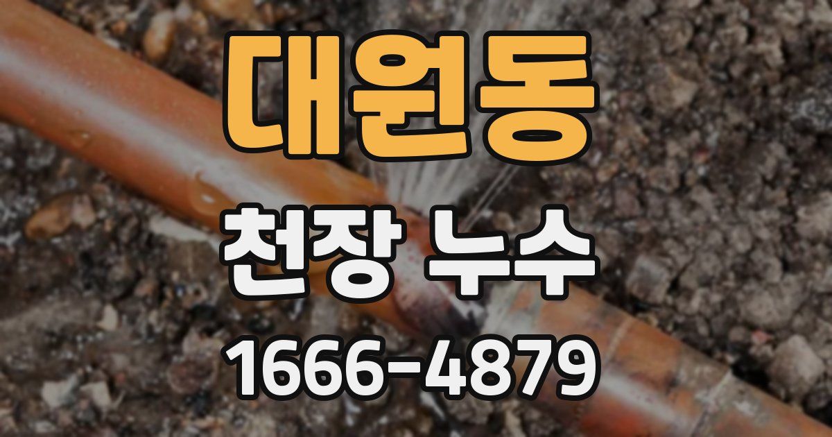 대원동 천장 누수