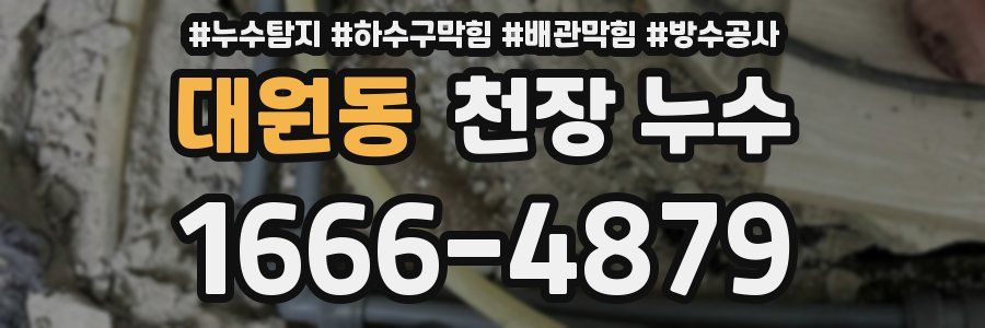 대원동 천장 누수