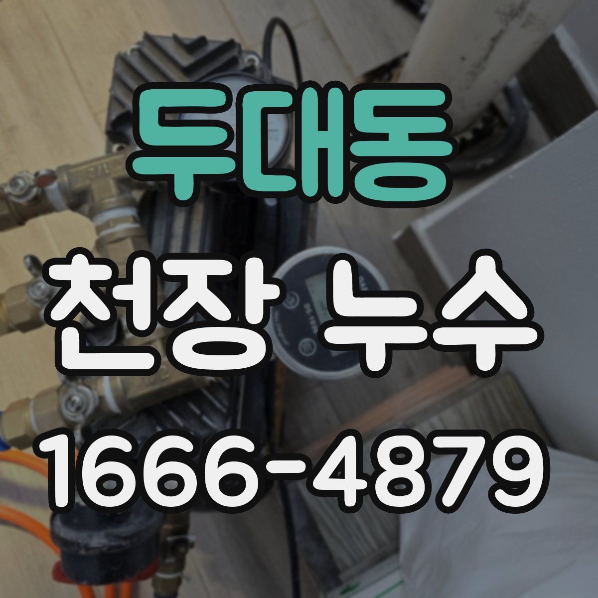 두대동 천장 누수