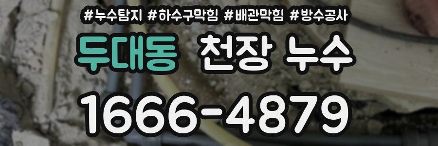 두대동 천장 누수
