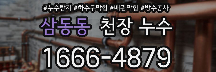 삼동동 천장 누수