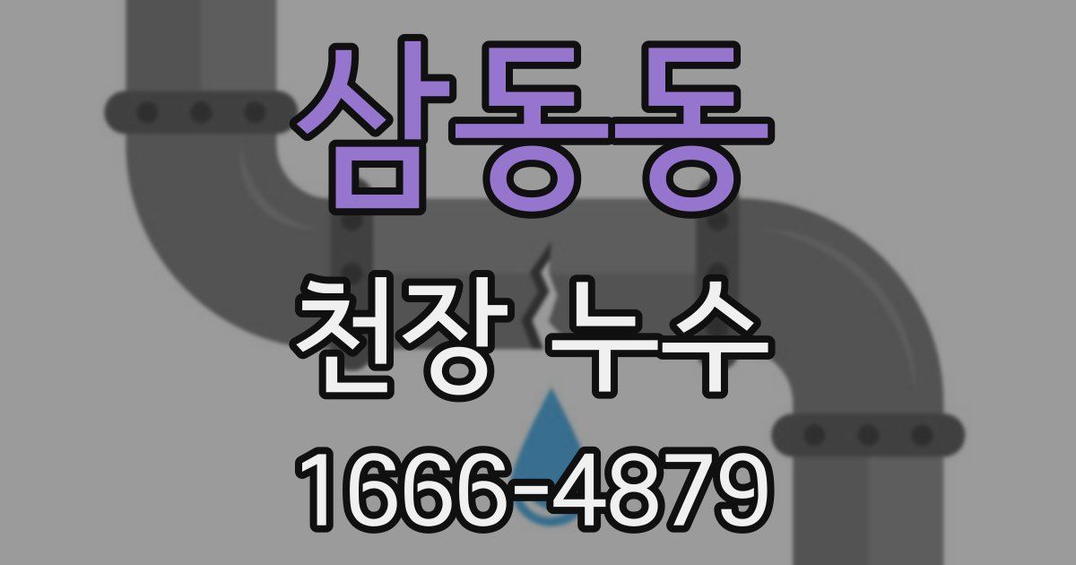 삼동동 천장 누수