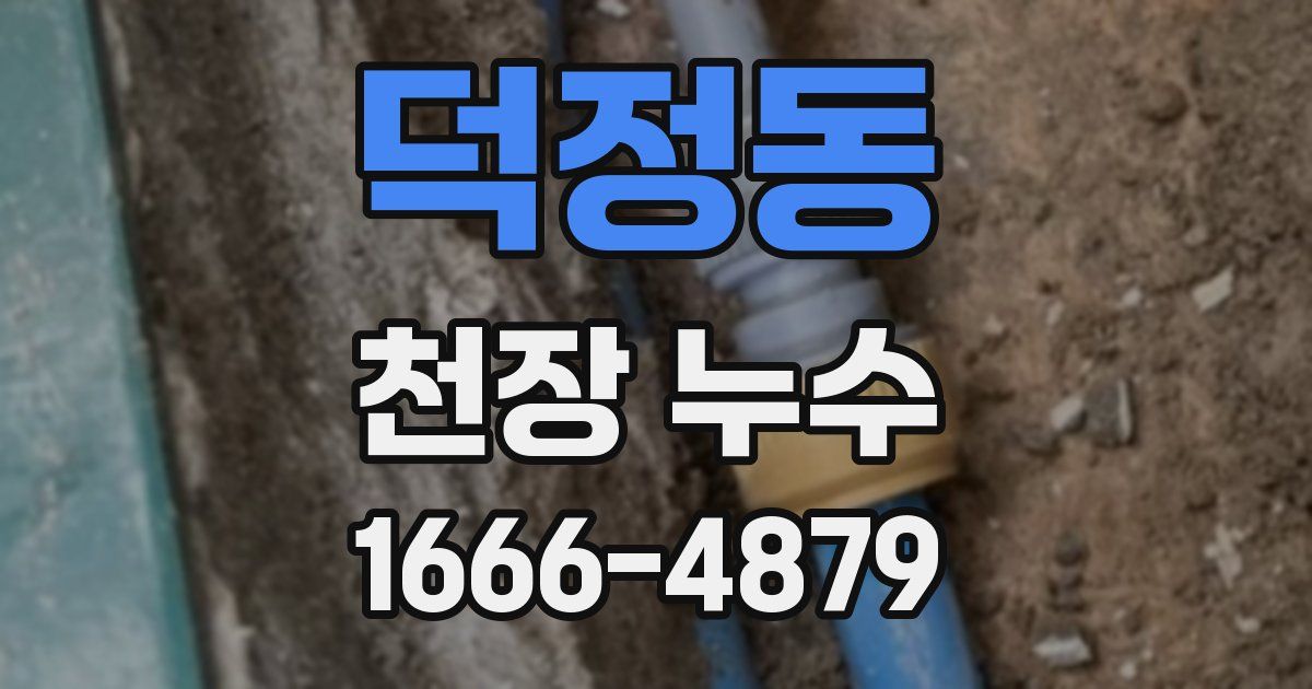 덕정동 천장 누수