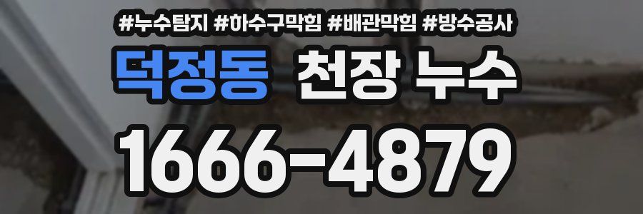 덕정동 천장 누수