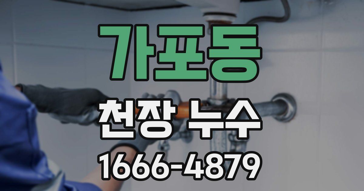 가포동 천장 누수