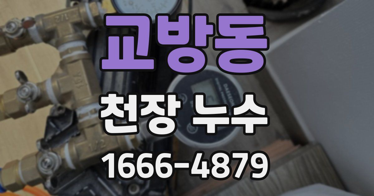 교방동 천장 누수