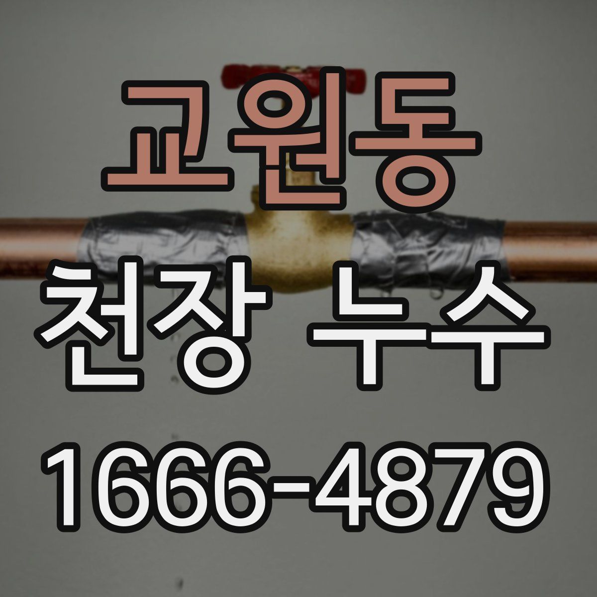 교원동 천장 누수