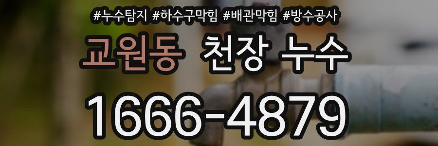 교원동 천장 누수