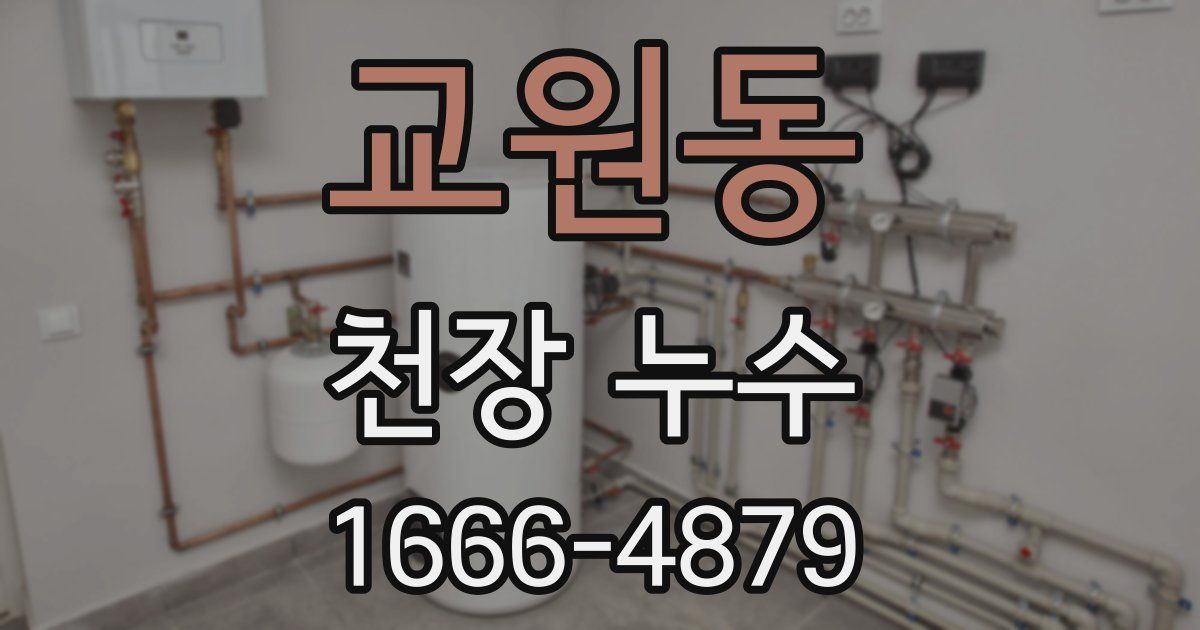 교원동 천장 누수