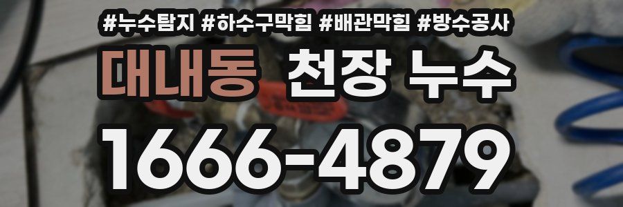 대내동 천장 누수