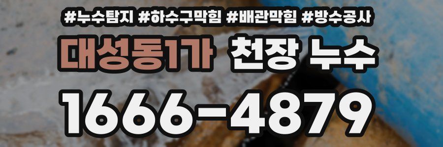 대성동1가 천장 누수