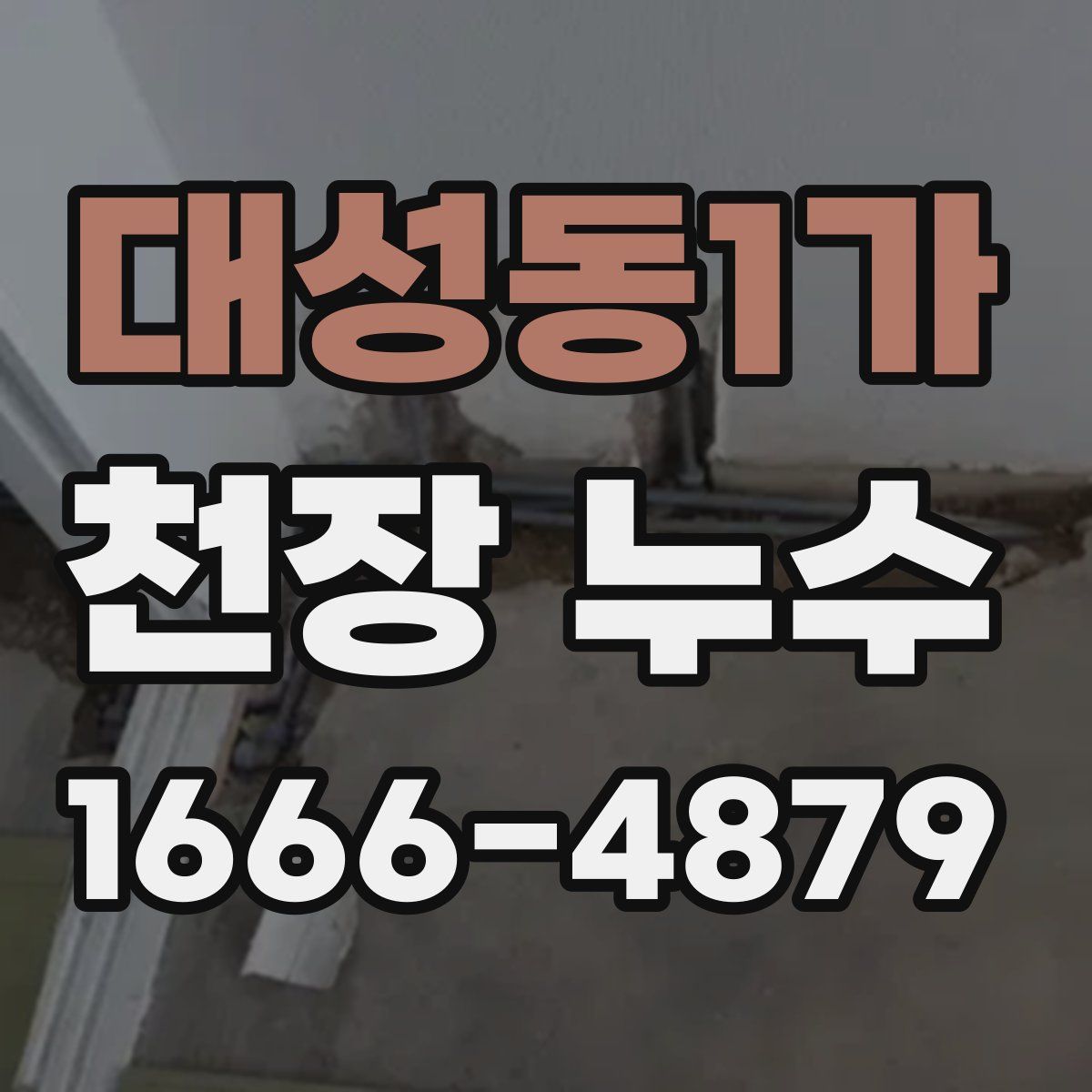 대성동1가 천장 누수