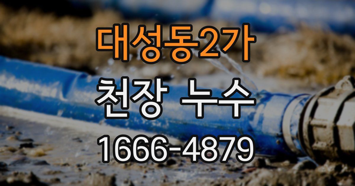 대성동2가 천장 누수
